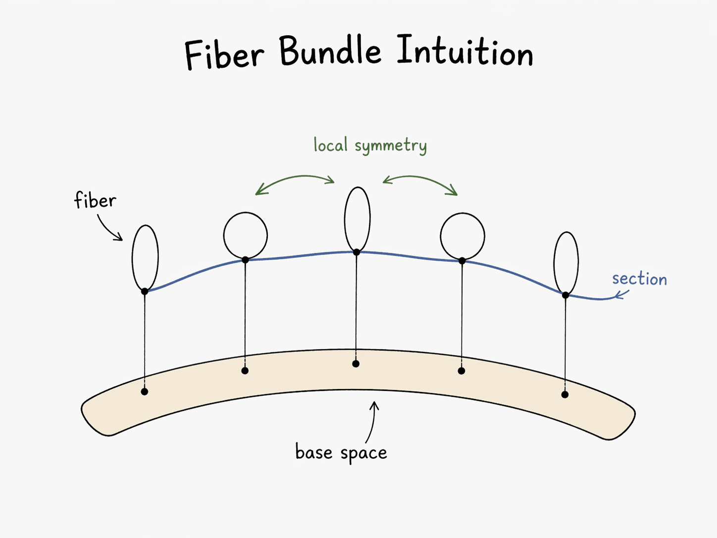 Fiber bundle intuition: a curved base space at the bottom, a fiber (a loop) attached at each sampled point, a smooth blue section threading through the fibers, and 'local symmetry' arrows between adjacent fibers indicating the gauge freedom.
